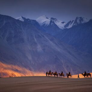 Nubra Valley