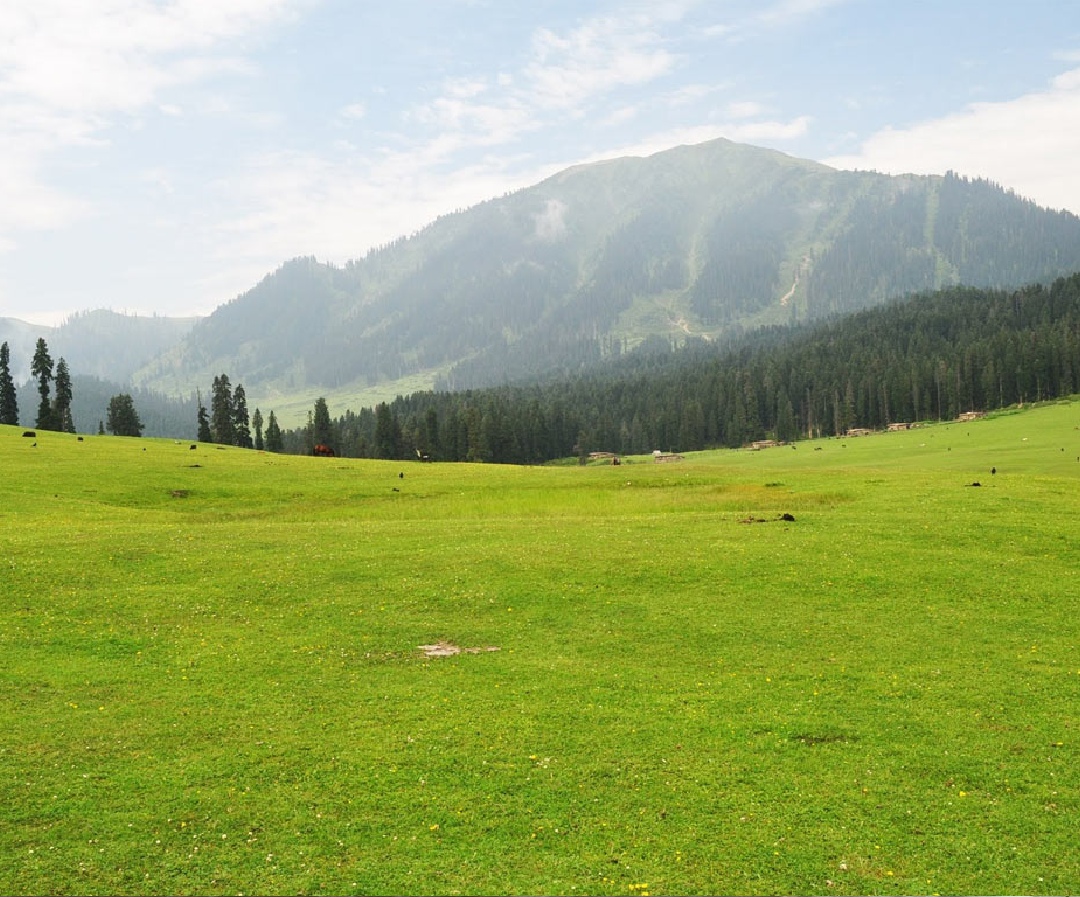 yusmarg